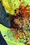 The Oneiromantic Mosaic of Harry Potemkin: the online hypertext version